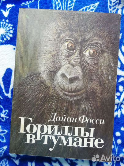 Гориллы в тумане, Дайан Фосси