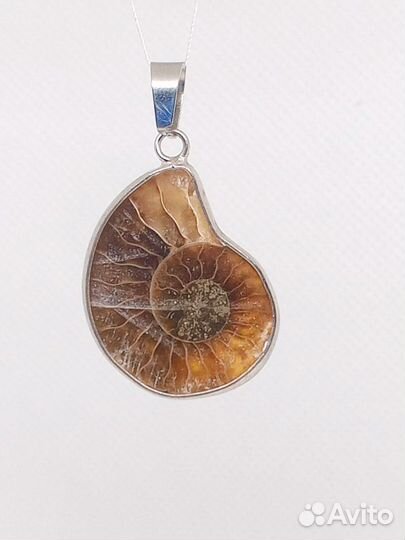Кулон из натурального аммонита