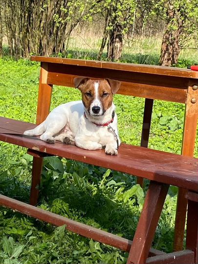 Дом 150 м² на участке 25 сот.