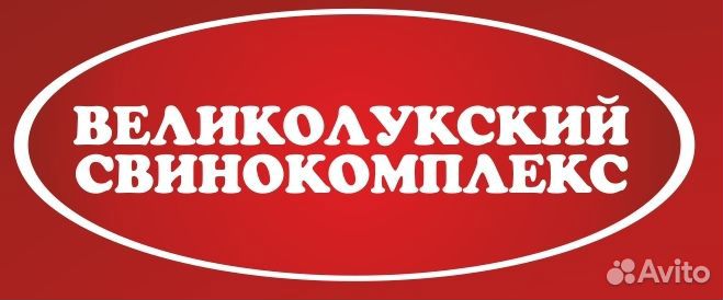 Охранник службы контроля