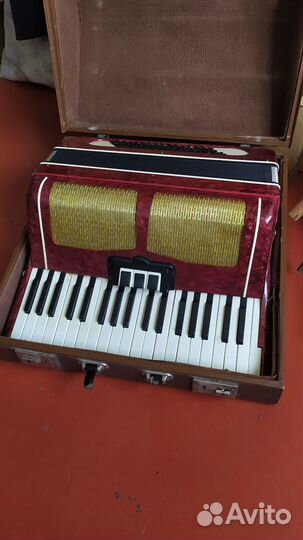 Аккордеон 