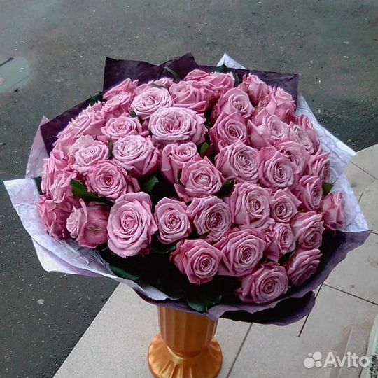 51 роза 50 см лилового цвета. доставка. 24/7