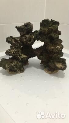 Декорации в аквариум