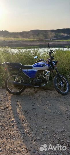 Альфа рх 110 2023