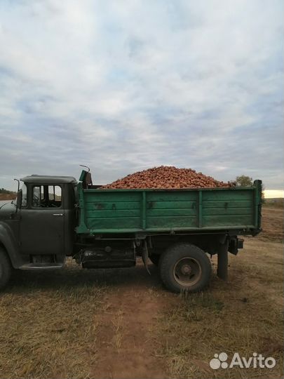 Продам картофель