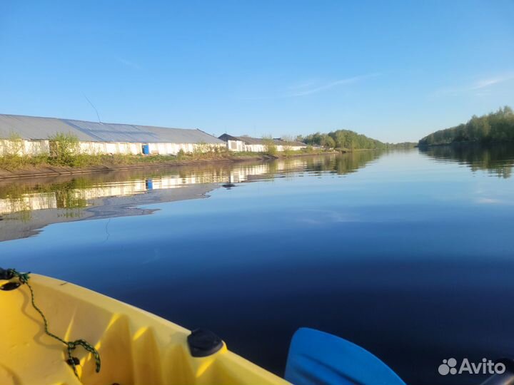Прогулки на воде