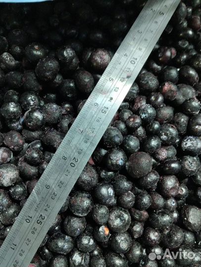 Продам свежезамороженную голубику садовую крупную