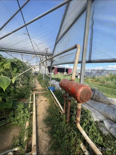 Участок 85 сот. (СНТ, ДНП)