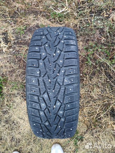 Nokian Tyres Nordman 7 205/55 R16