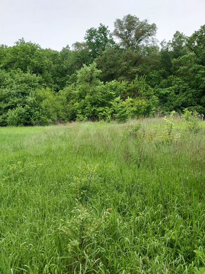 Дача 10 м² на участке 6 сот.