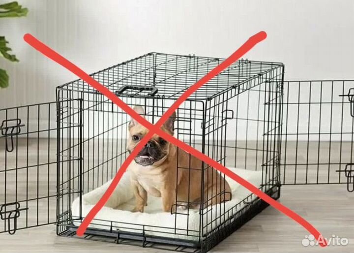 Передержка животных на время отпуска