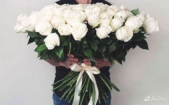 Высокие розы