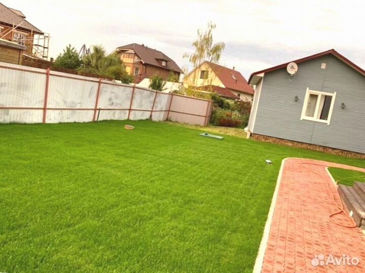 Рулонный газон