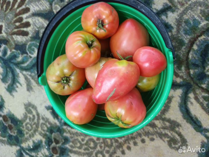Продам домашние помидоры