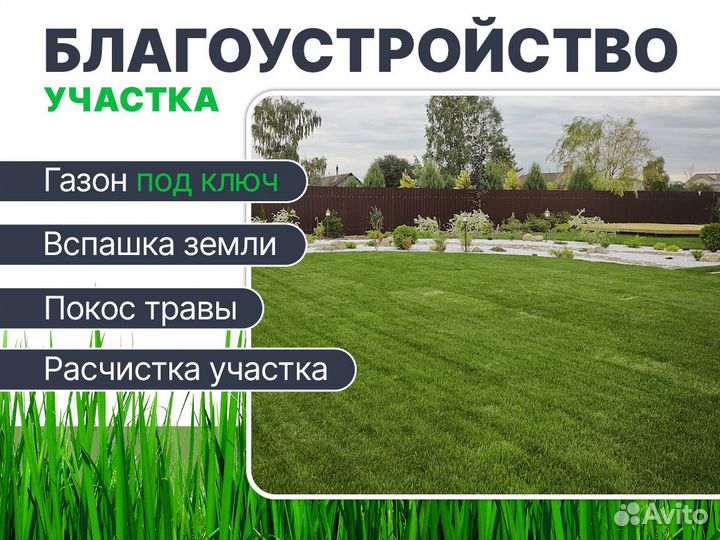 Рулонный газон под ключ