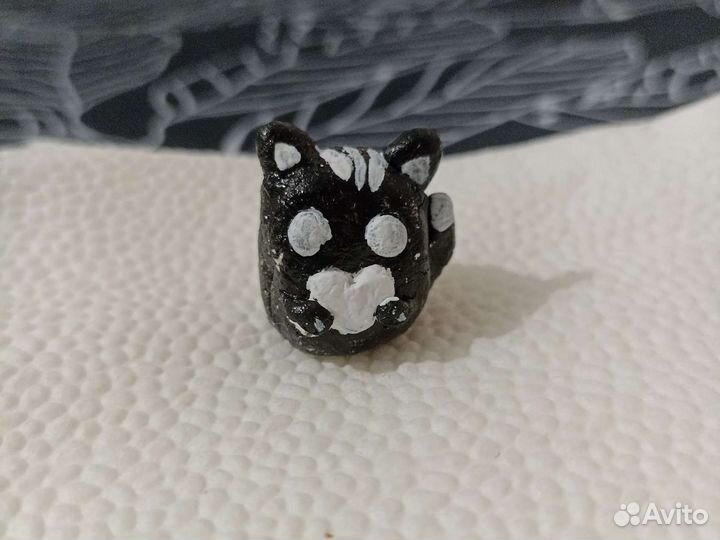 Кот любиша
