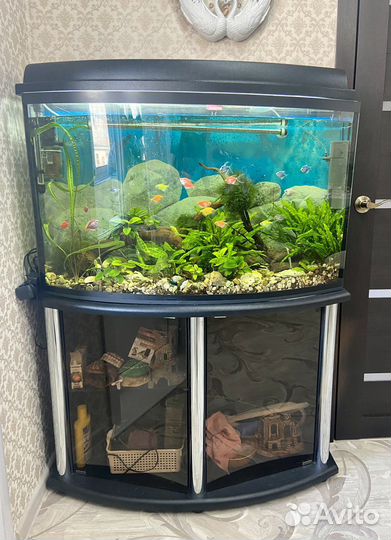 Аквариум