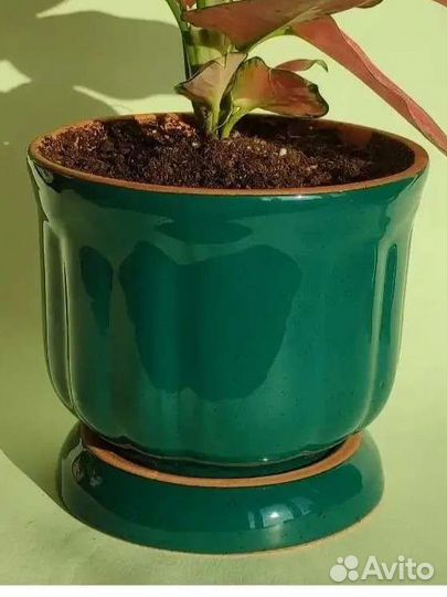 Керамические горшки и кашпо Модерн Легенда