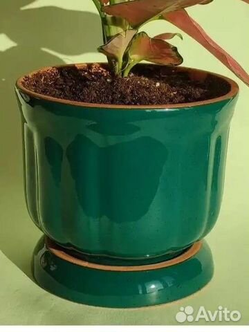 Керамические горшки и кашпо Модерн Легенда