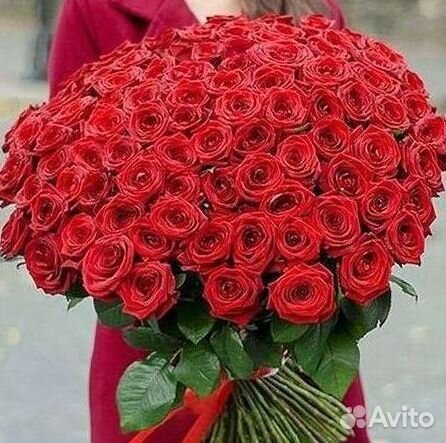 Высокие розы Гигантские Розы 150 160 170 180 190см