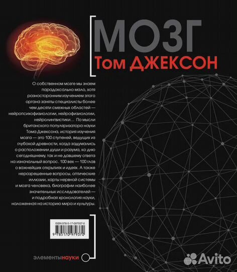 Мозг Джексон Том