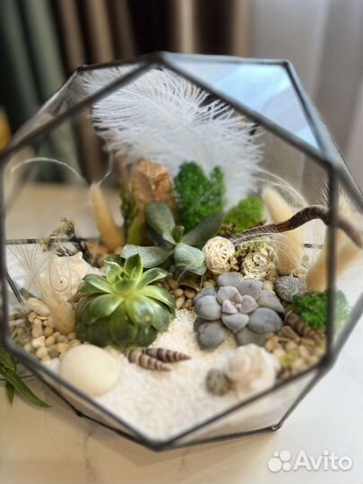 Флорариум. живые цветы. Подарок