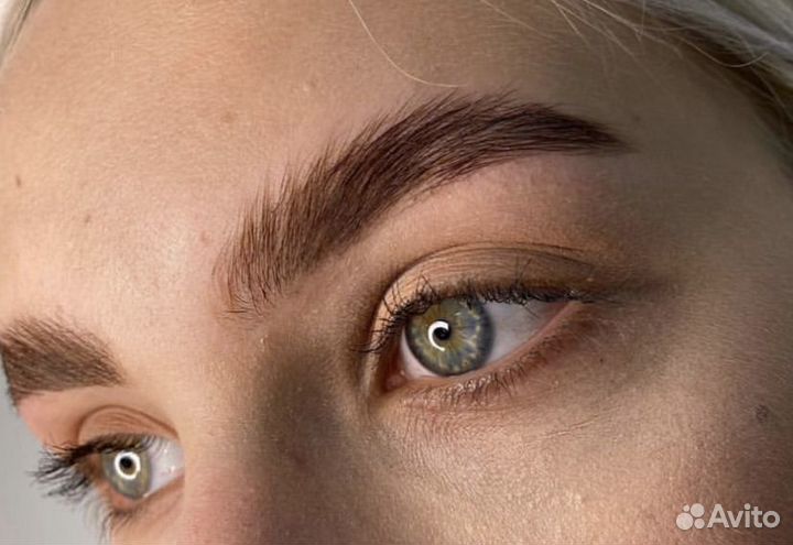 Мастер бровист