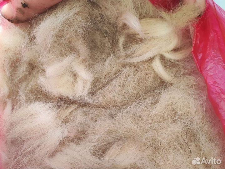 Собачья шерсть