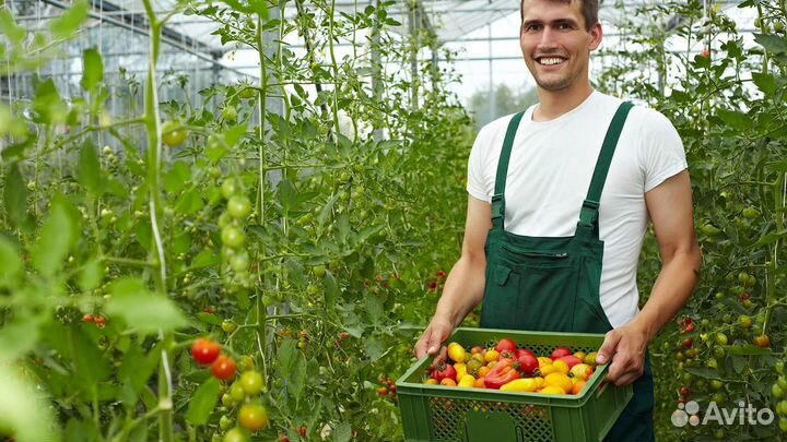 Помощники по хозяйству