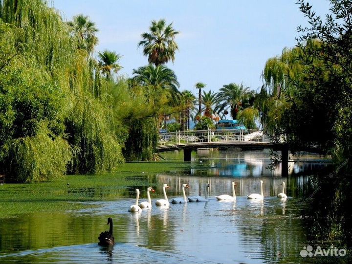 Экскурсии Термальный источник Кындыг Абхазия