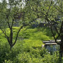 Участок 8 сот. (СНТ, ДНП), Вербилки