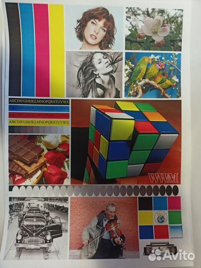 Цветной лазерный принтер samsung CLP-310