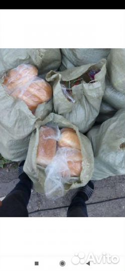 Хлеб для корма животных