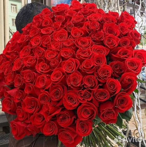 Высокие розы Гигантские розы Доставка цветов