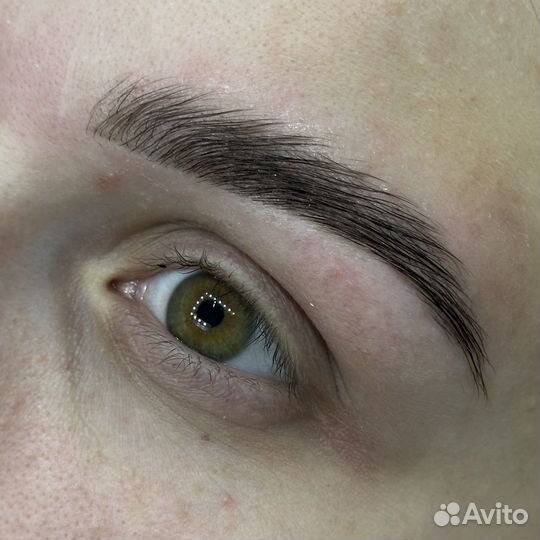 Архитектура бровей