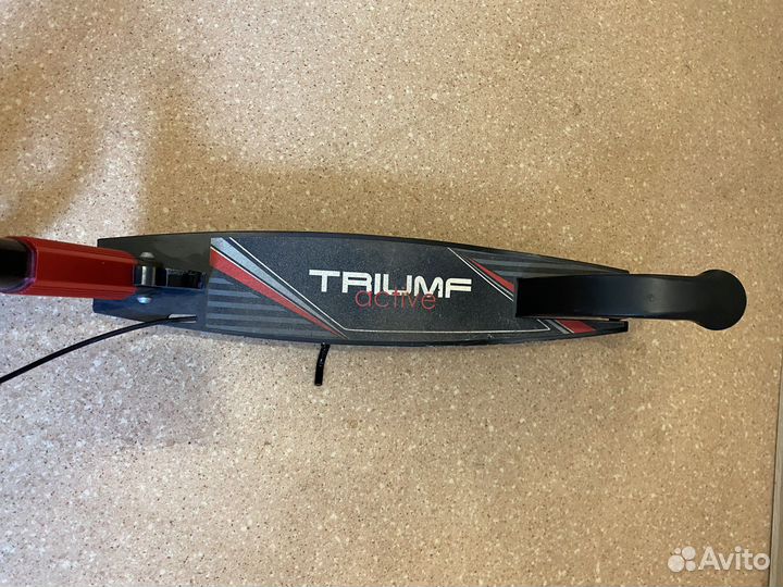 Двухколесный самокат Triumf Active AL02-205
