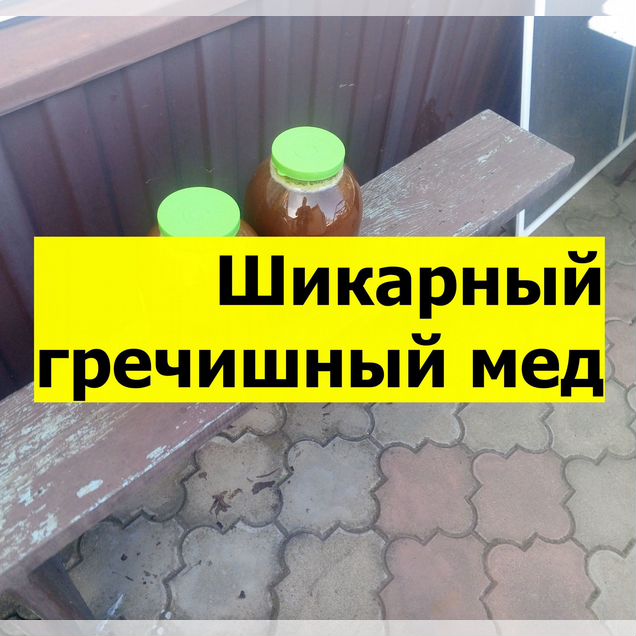 Мед гречишный Васюринская