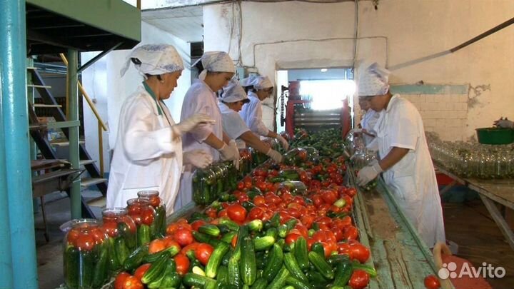 Разнорабочий вахта проживанием