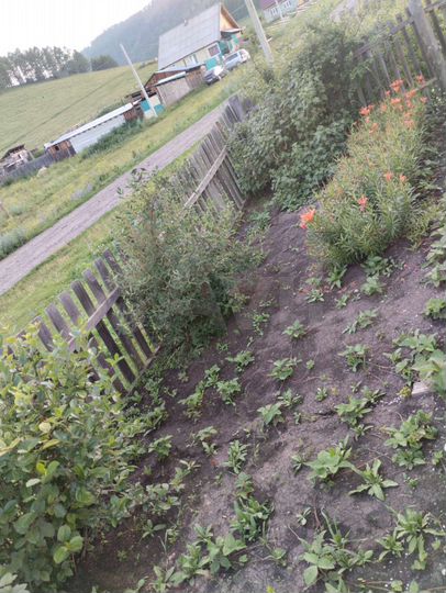 Дом 55 м² на участке 15 сот.