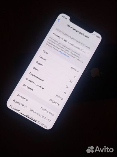 iPhone X, 256 ГБ