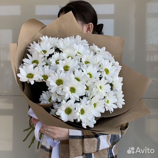 Хризантема