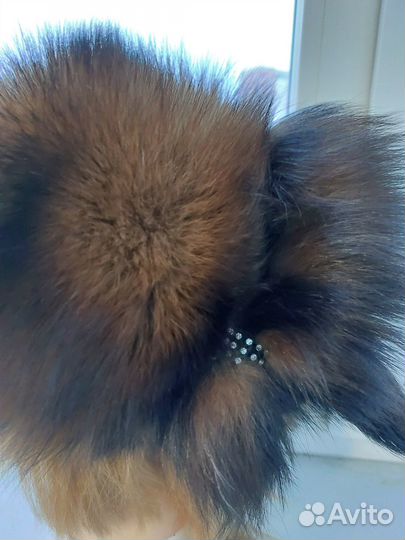 Шапка Соболь берет соболь Шапка меховая р.56