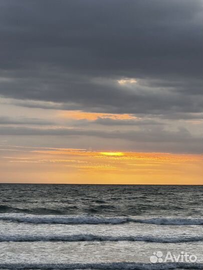 Помощник руководителя удаленно