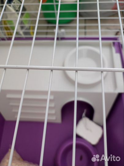 Клетка для декоративного кролика