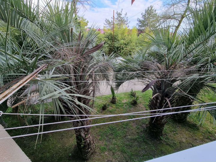 2-к. квартира, 49 м², 1/5 эт.