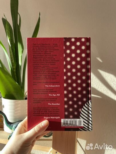 Книга Полубрат