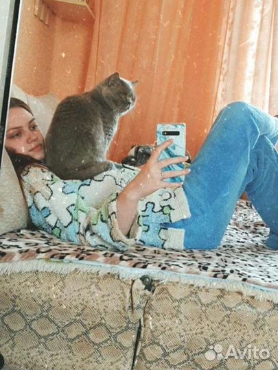 Передержка кошек/котов