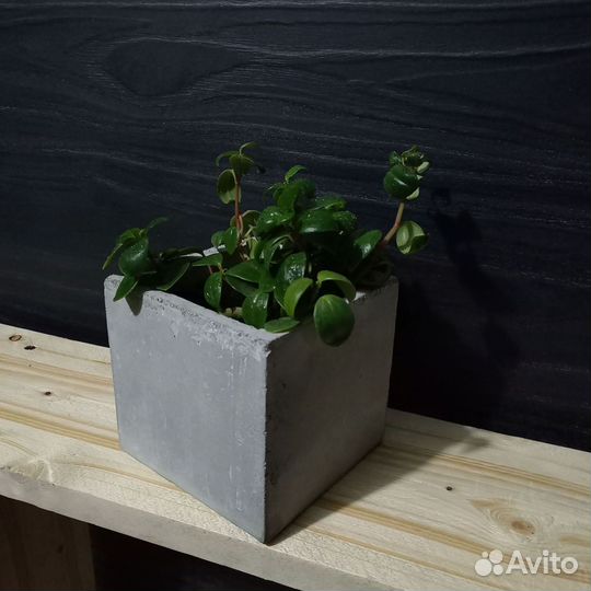 Вазоны, Горшки, Кашпо под заказ из бетона