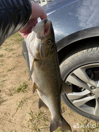 Блесны на жереха, судака