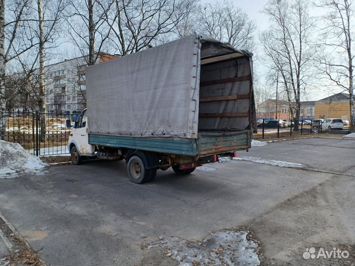 И газель и целиком